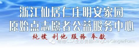 2015浙江仙居首期《明德惟馨 安生乐业乡村传统文化原始点公益论坛及推广活动》