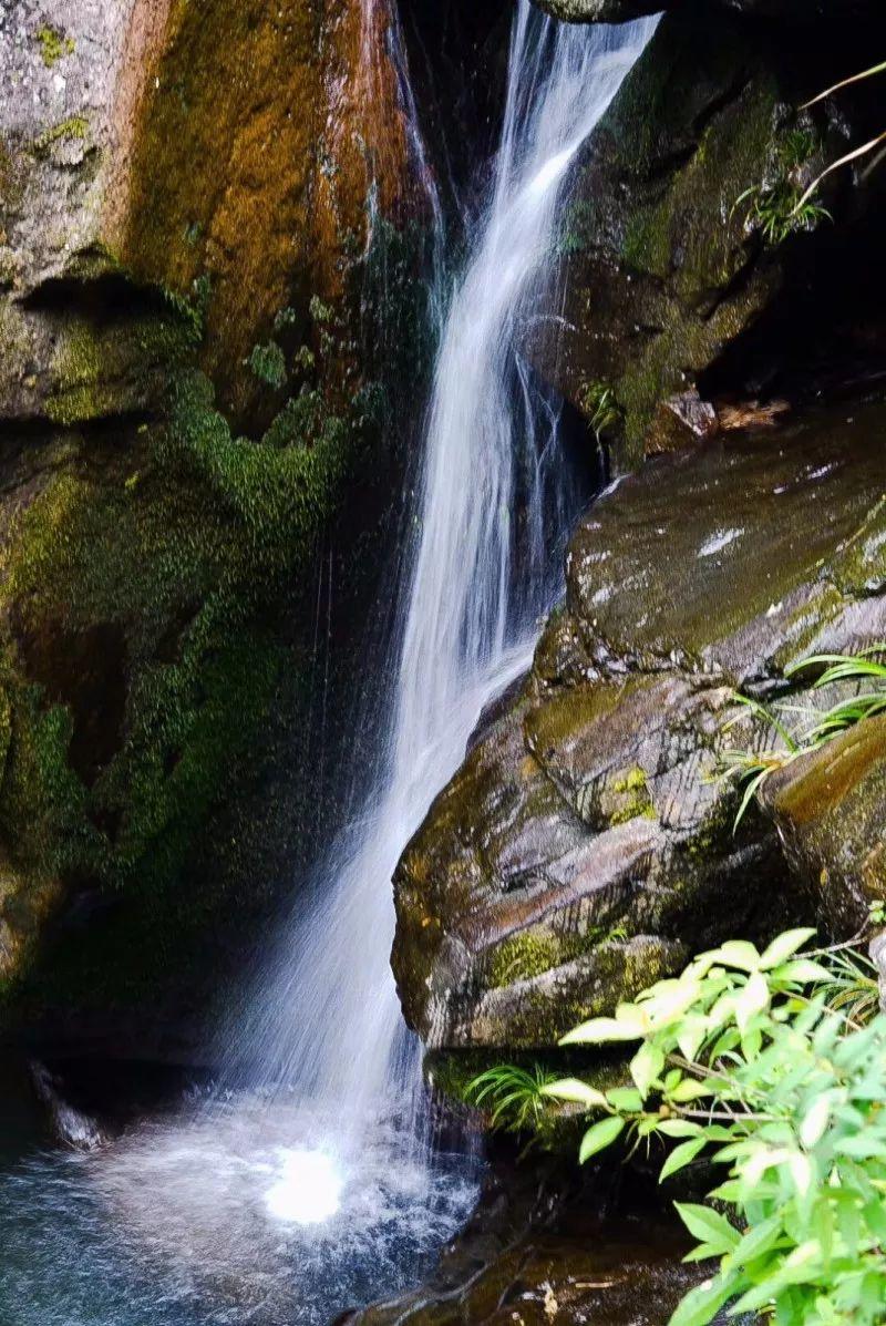 太白梦游处，仙居诗意浓 | 美丽中国行 - 秀美仙居 慈孝仁庄 明德生态姜园“七不”良心小黄姜发源地