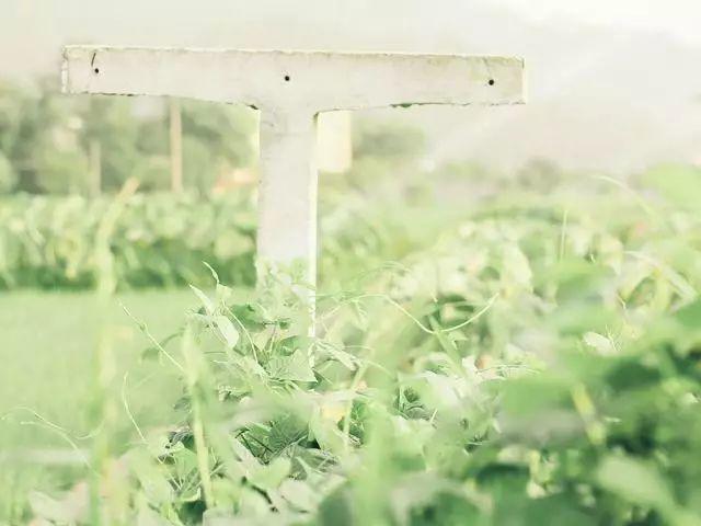 仙居居然把“西藏”私藏了,还有布达拉宫,就在家门口!- 秀美仙居 慈孝仁庄 明德生态姜园“七不”良心小黄姜发源地 仙居居然把“西藏”私藏了,还有布达拉宫,就在家门口!- 秀美仙居 慈孝仁庄 明德生态姜园“七不”良心小黄姜发源地