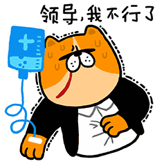 生姜:肠胃的好朋友 生姜:肠胃的好朋友