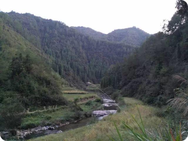 仁庄村:大山深处的崇学古村落- 秀美仙居 慈孝仁庄 明德生态姜园“七不”良心小黄姜发源地 仁庄村:大山深处的崇学古村落- 秀美仙居 慈孝仁庄 明德生态姜园“七不”良心小黄姜发源地