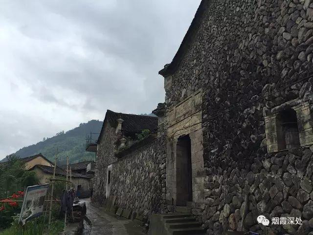 传统村落--溪港乡仁庄村（古村行013）- 秀美仙居 慈孝仁庄 明德生态姜园“七不”良心小黄姜发源地