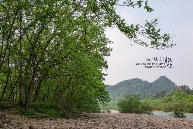 浙江｜秀水古道 人间仙居- 秀美仙居 慈孝仁庄 明德生态姜园“七不”良心小黄姜发源地