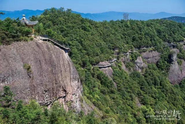 浙江｜秀水古道 人间仙居- 秀美仙居 慈孝仁庄 明德生态姜园“七不”良心小黄姜发源地