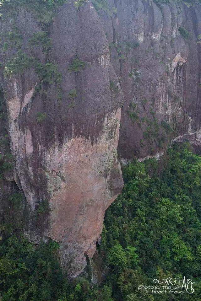 浙江｜秀水古道 人间仙居- 秀美仙居 慈孝仁庄 明德生态姜园“七不”良心小黄姜发源地