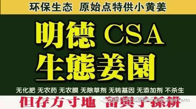 传统村落--溪港乡仁庄村（古村行013）- 秀美仙居 慈孝仁庄 明德生态姜园“七不”良心小黄姜发源地