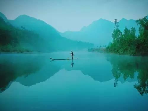 仙居还有这样的风景!你有没有去过？- 秀美仙居 慈孝仁庄 明德生态姜园“七不”良心小黄姜发源地