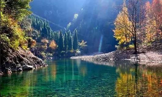 仙居还有这样的风景!你有没有去过？- 秀美仙居 慈孝仁庄 明德生态姜园“七不”良心小黄姜发源地