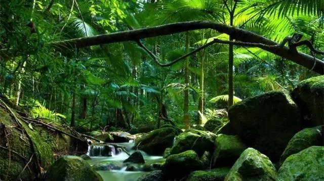 仙居还有这样的风景!你有没有去过？- 秀美仙居 慈孝仁庄 明德生态姜园“七不”良心小黄姜发源地