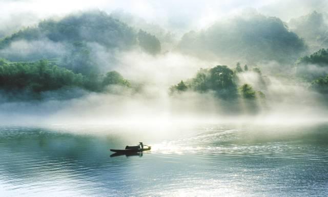 仙居还有这样的风景!你有没有去过？- 秀美仙居 慈孝仁庄 明德生态姜园“七不”良心小黄姜发源地