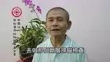 肿瘤不须处理见证-七不姜 生姜养生网-明德CSA生态姜园&明安农业