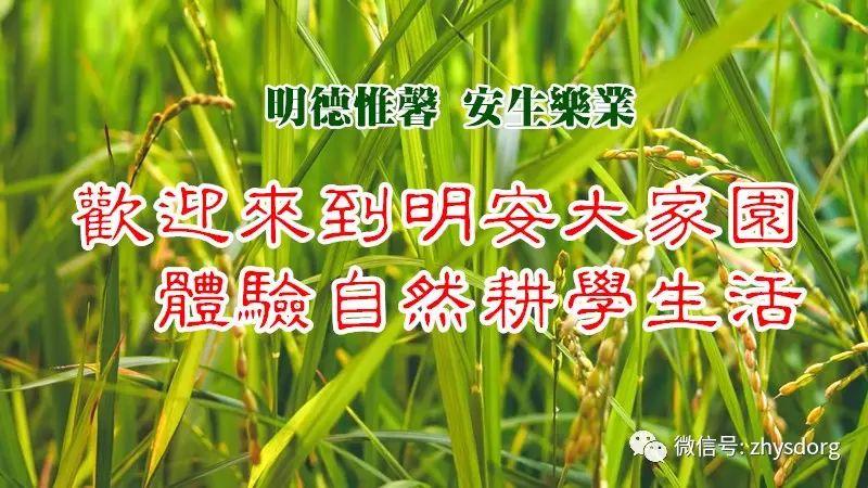 原始点小品 原始点娃娃  原始点脑中风处理 原创精彩 孩子太可爱了！