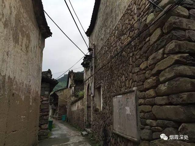 传统村落--溪港乡仁庄村（古村行013）- 秀美仙居 慈孝仁庄 明德生态姜园“七不”良心小黄姜发源地