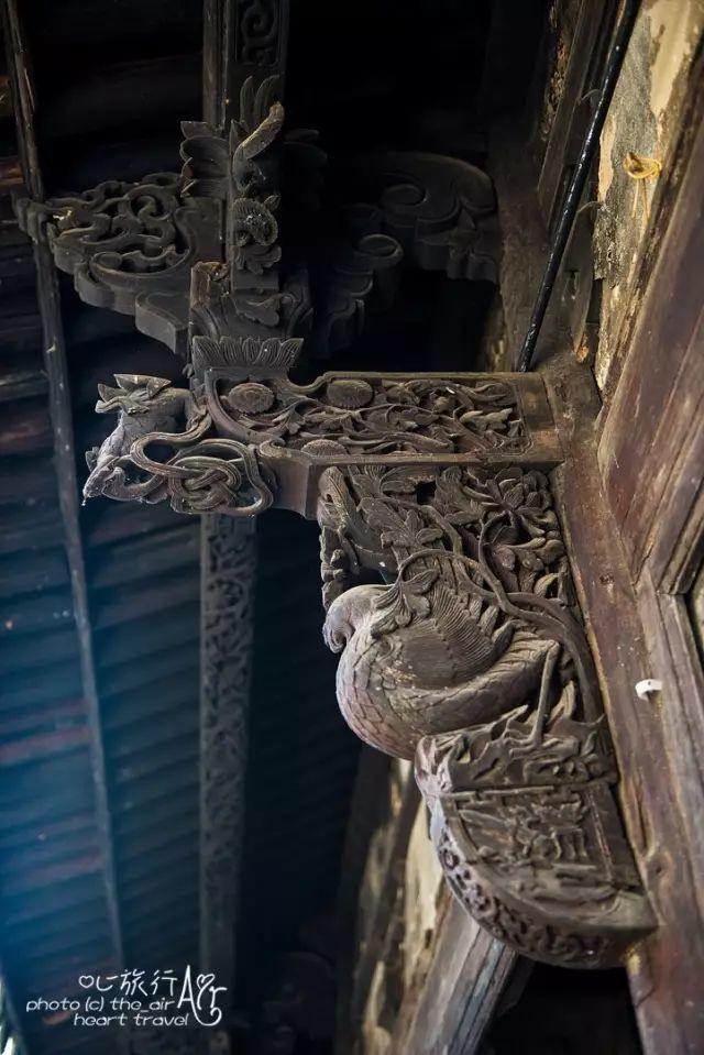 浙江｜秀水古道 人间仙居- 秀美仙居 慈孝仁庄 明德生态姜园“七不”良心小黄姜发源地