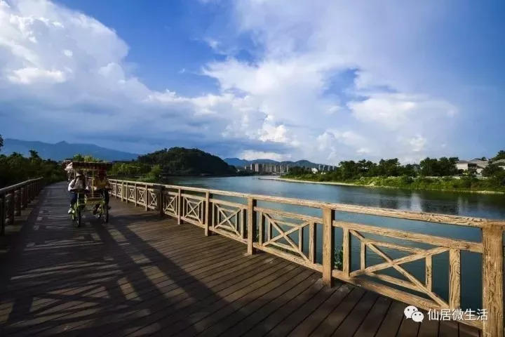 来仙居，我养你啊！- 秀美仙居 慈孝仁庄 明德生态姜园“七不”良心小黄姜发源地