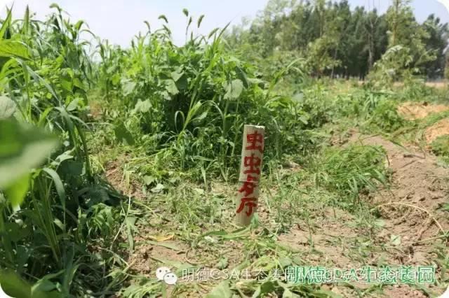 仙居居然把“西藏”私藏了,还有布达拉宫,就在家门口!- 秀美仙居 慈孝仁庄 明德生态姜园“七不”良心小黄姜发源地 仙居居然把“西藏”私藏了,还有布达拉宫,就在家门口!- 秀美仙居 慈孝仁庄 明德生态姜园“七不”良心小黄姜发源地