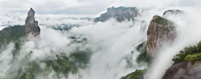仙居还有这样的风景!你有没有去过？- 秀美仙居 慈孝仁庄 明德生态姜园“七不”良心小黄姜发源地