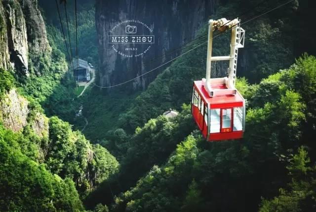 仙居还有这样的风景!你有没有去过？- 秀美仙居 慈孝仁庄 明德生态姜园“七不”良心小黄姜发源地