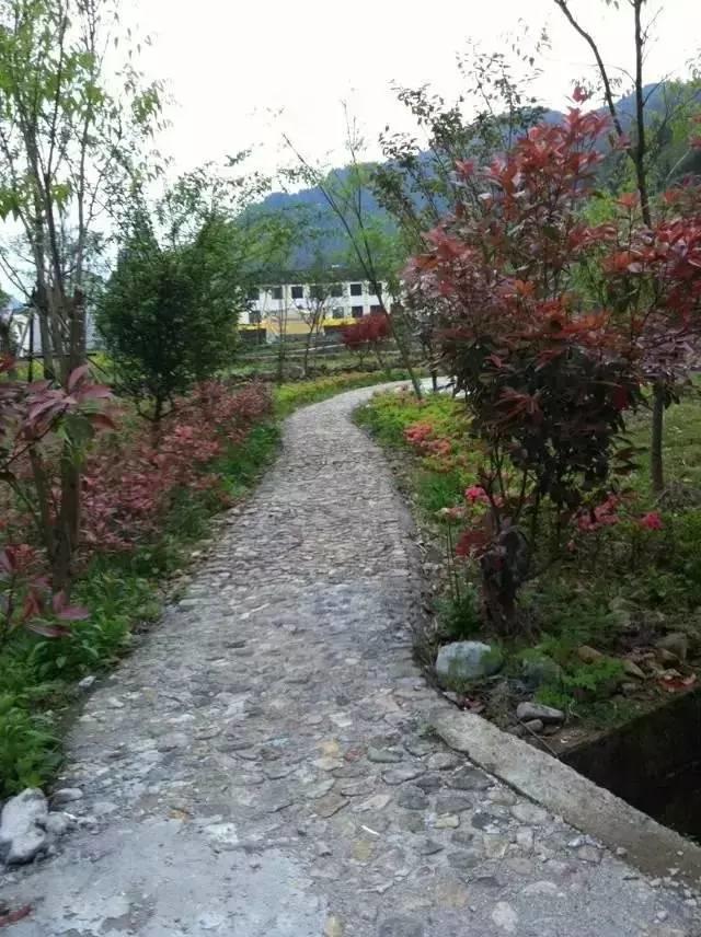 《总有一种力量让我们泪流满面》-明安大家园原始点学习报告