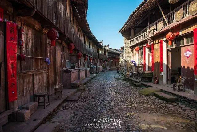 浙江｜秀水古道 人间仙居- 秀美仙居 慈孝仁庄 明德生态姜园“七不”良心小黄姜发源地