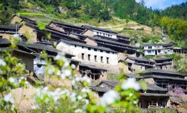 仙居居然把“西藏”私藏了,还有布达拉宫,就在家门口!- 秀美仙居 慈孝仁庄 明德生态姜园“七不”良心小黄姜发源地-七不姜 生姜养生网-明德CSA生态姜园&明安农业