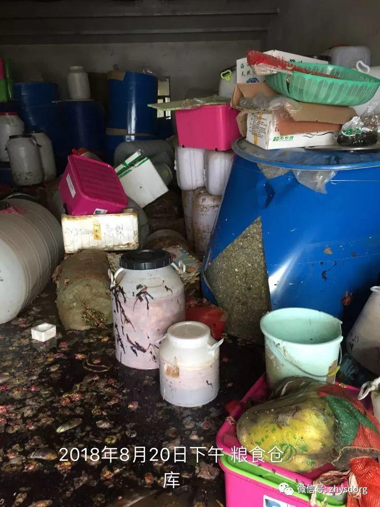 徐州市原始点基地(一方有难,十方支援,急需要家人们来帮忙!) 徐州市原始点基地(一方有难,十方支援,急需要家人们来帮忙!)