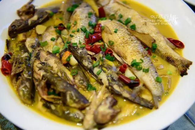 浙江｜秀水古道 人间仙居- 秀美仙居 慈孝仁庄 明德生态姜园“七不”良心小黄姜发源地