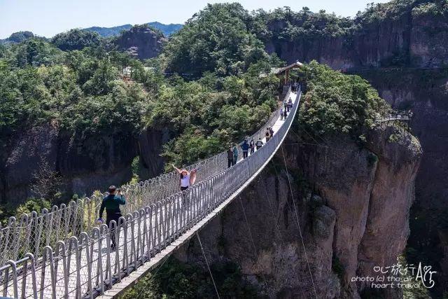 浙江｜秀水古道 人间仙居- 秀美仙居 慈孝仁庄 明德生态姜园“七不”良心小黄姜发源地