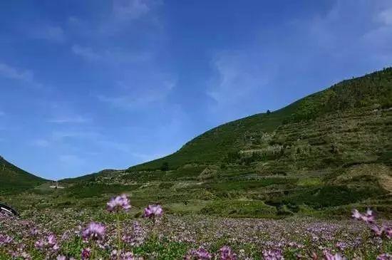 仙居居然把“西藏”私藏了,还有布达拉宫,就在家门口!- 秀美仙居 慈孝仁庄 明德生态姜园“七不”良心小黄姜发源地 仙居居然把“西藏”私藏了,还有布达拉宫,就在家门口!- 秀美仙居 慈孝仁庄 明德生态姜园“七不”良心小黄姜发源地