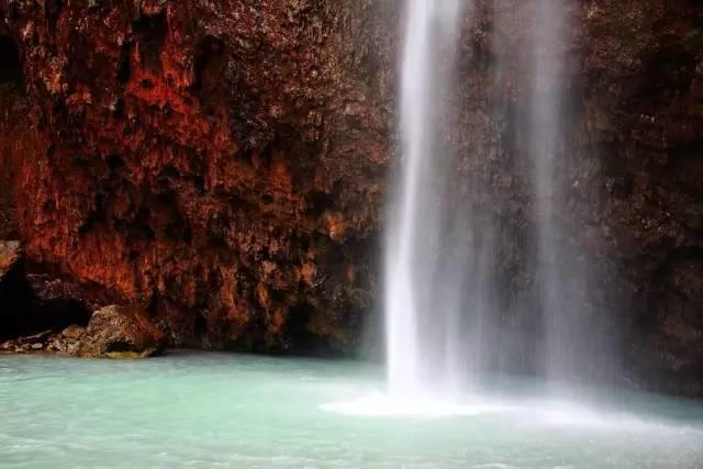 仙居还有这样的风景!你有没有去过？- 秀美仙居 慈孝仁庄 明德生态姜园“七不”良心小黄姜发源地