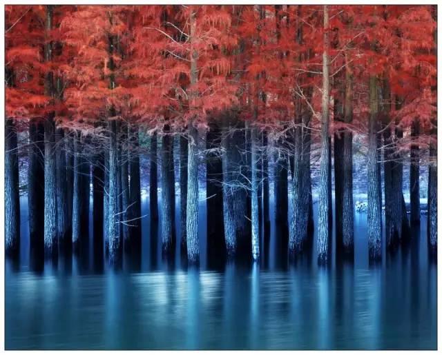 仙居还有这样的风景!你有没有去过？- 秀美仙居 慈孝仁庄 明德生态姜园“七不”良心小黄姜发源地