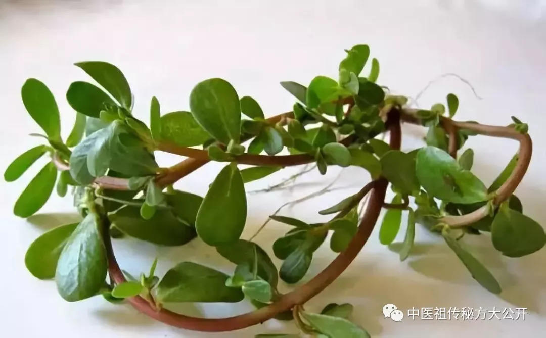 生姜这么有用，你知道吗？