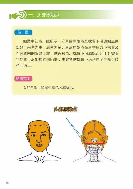 原始点医学手册 电子版(2018年8月第十三版) 原始点医学手册 电子版(2018年8月第十三版)