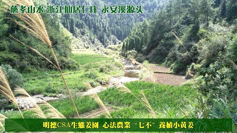 心法农业 福田心耕 明安大家园 原始点全球同学网 秋收感恩节邀请函(浙江仙居 11.18-11.25) 心法农业 福田心耕 明安大家园 原始点全球同学网 秋收感恩节邀请函(浙江仙居 11.18-11.25)