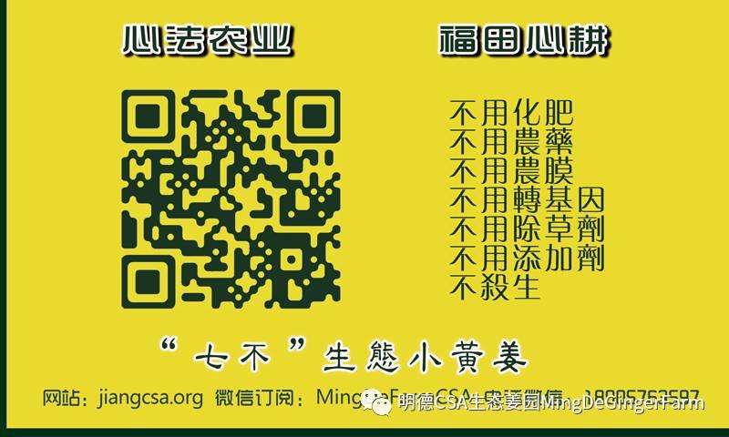 香蕉和姜能同时吃吗？