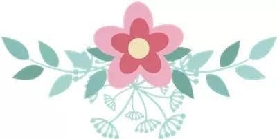 原始点家人辅助内热源-纯正无糖红参