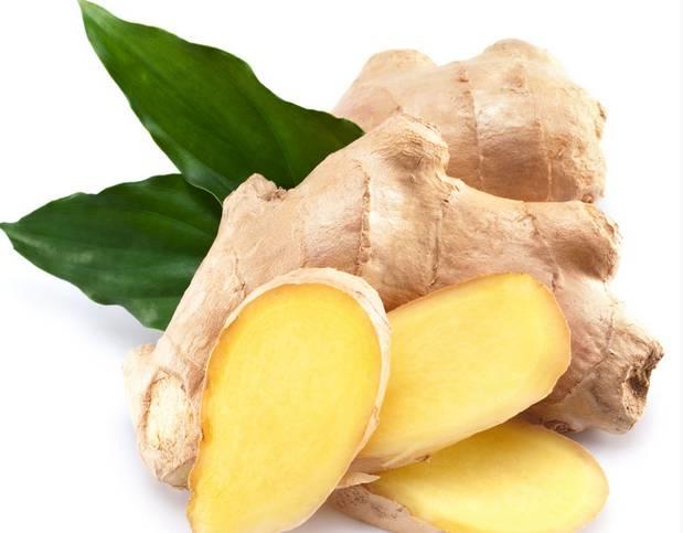 家里种生姜,全家都安康! 盆栽姜 有竹韵! 家里种生姜,全家都安康! 盆栽姜 有竹韵!