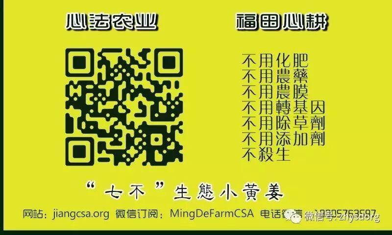 你了解原始点内热源 姜(薑)的种类和应用吗? 你了解原始点内热源 姜(薑)的种类和应用吗?