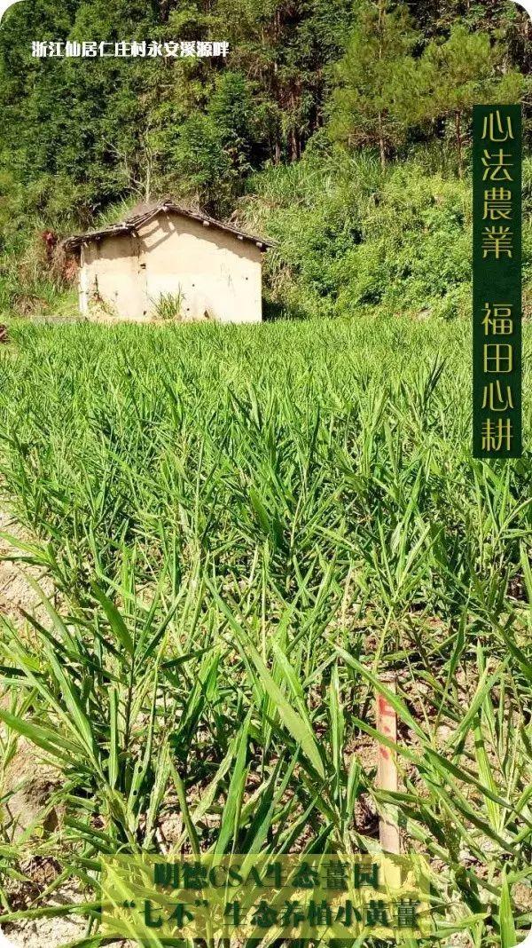 元旦春节感恩酬宾有礼! 元旦春节感恩酬宾有礼!