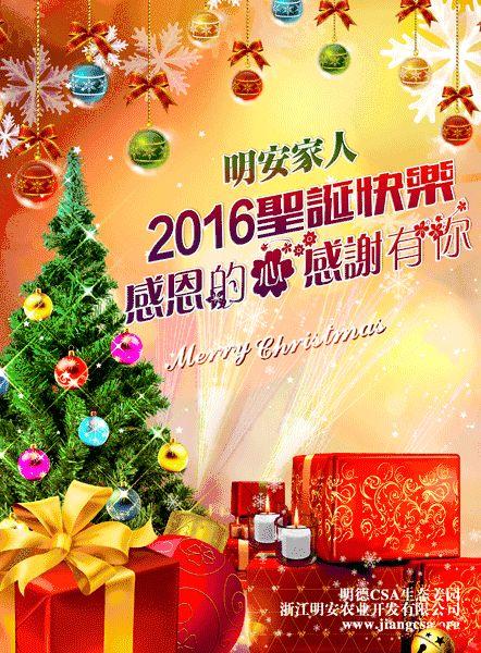 最后两天了!平安圣诞 岁末感恩酬宾大促销 所有零售薑品买三送一-七不姜 生姜养生网-明德CSA生态姜园&明安农业