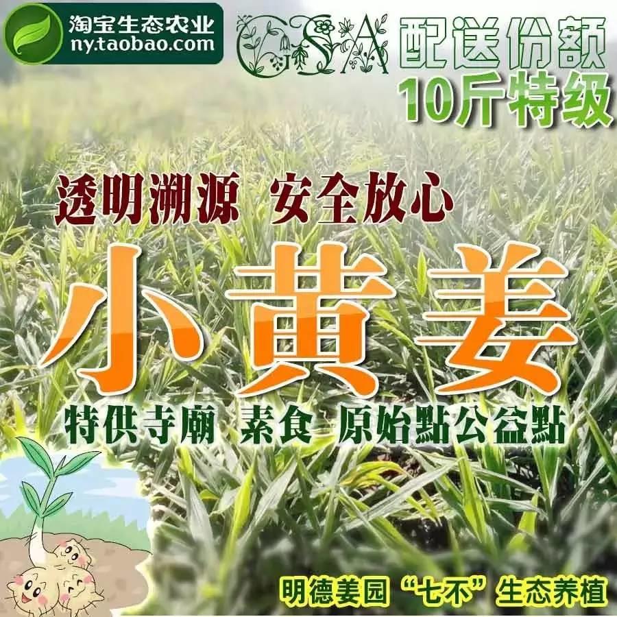 [有奖问答]原始点鲜姜的购买和使用调查统计-七不姜 生姜养生网-明德CSA生态姜园&明安农业