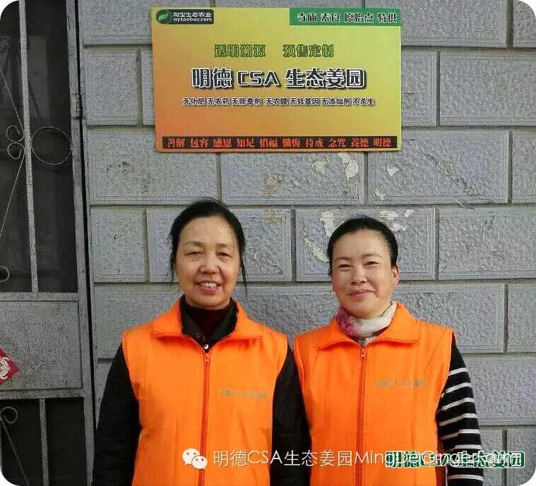 明德CSA生态姜园 浙江仙居仁庄村“七不”小黄姜基地介绍