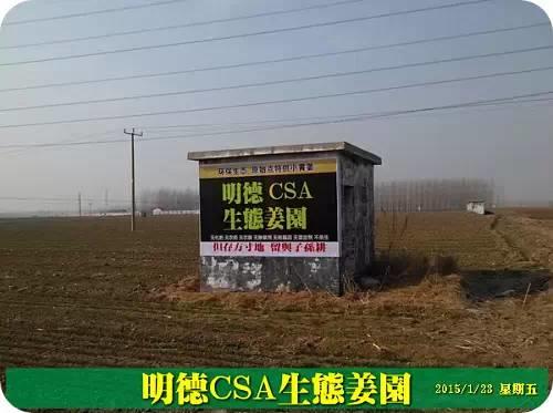 东方圣城 首善之地 至善小黄姜 4月开种活动预报 东方圣城 首善之地 至善小黄姜 4月开种活动预报