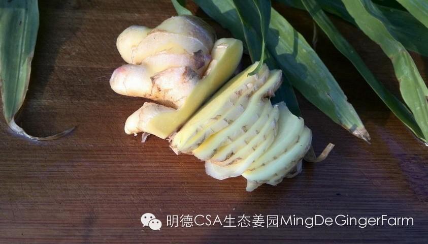 CSA姜东会员参与报名、合作加盟-七不姜 生姜养生网-明德CSA生态姜园&明安农业