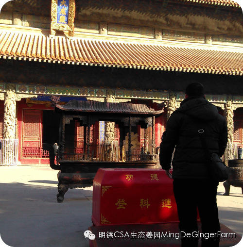 明德CSA姜园 山东圣城曲阜祀天