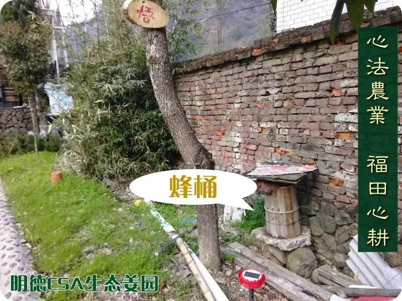 团购姜丸 纯正“七不”小黄姜姜丸原始点保健食用内热源 100克加送25克 特级恭制 团购姜丸 纯正“七不”小黄姜姜丸原始点保健食用内热源 100克加送25克 特级恭制