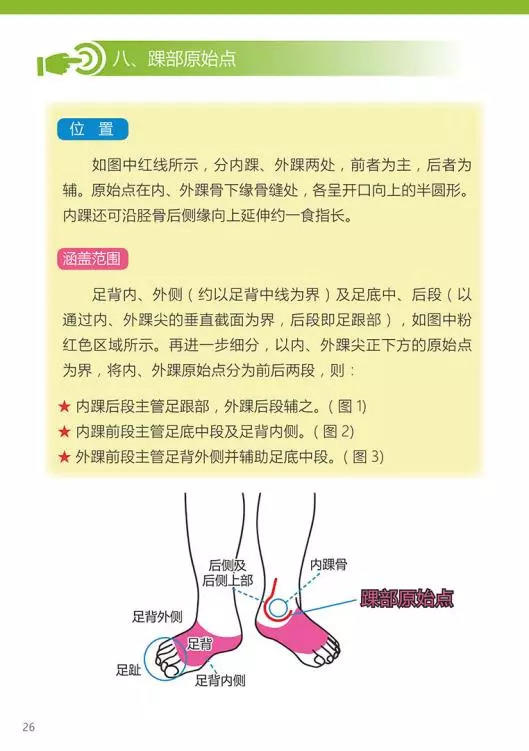 原始点医学手册 电子版(2018年8月第十三版) 原始点医学手册 电子版(2018年8月第十三版)