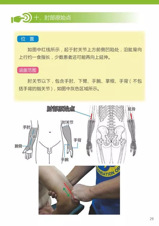 原始点医学手册 电子版(2018年8月第十三版) 原始点医学手册 电子版(2018年8月第十三版)