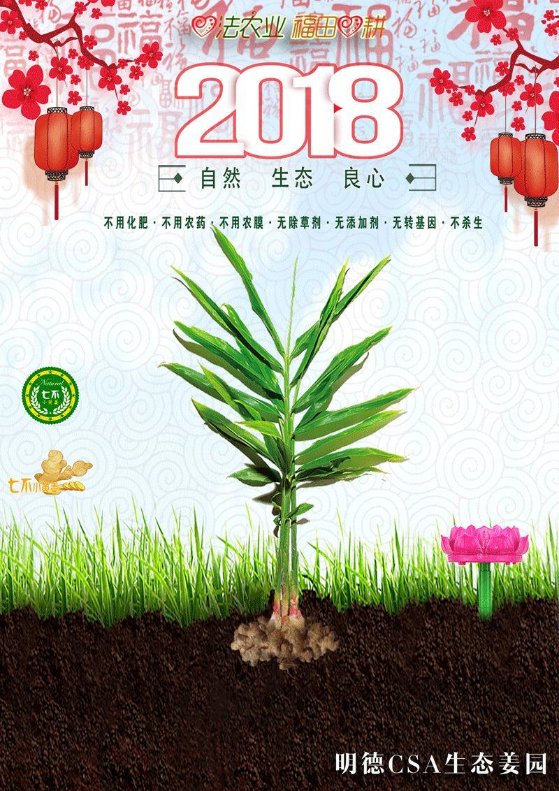 2018年心法农业 福田心耕之明德CSA生态姜园七不小黄薑春耕喜乐开锄感恩节 邀请函 2018年心法农业 福田心耕之明德CSA生态姜园七不小黄薑春耕喜乐开锄感恩节 邀请函