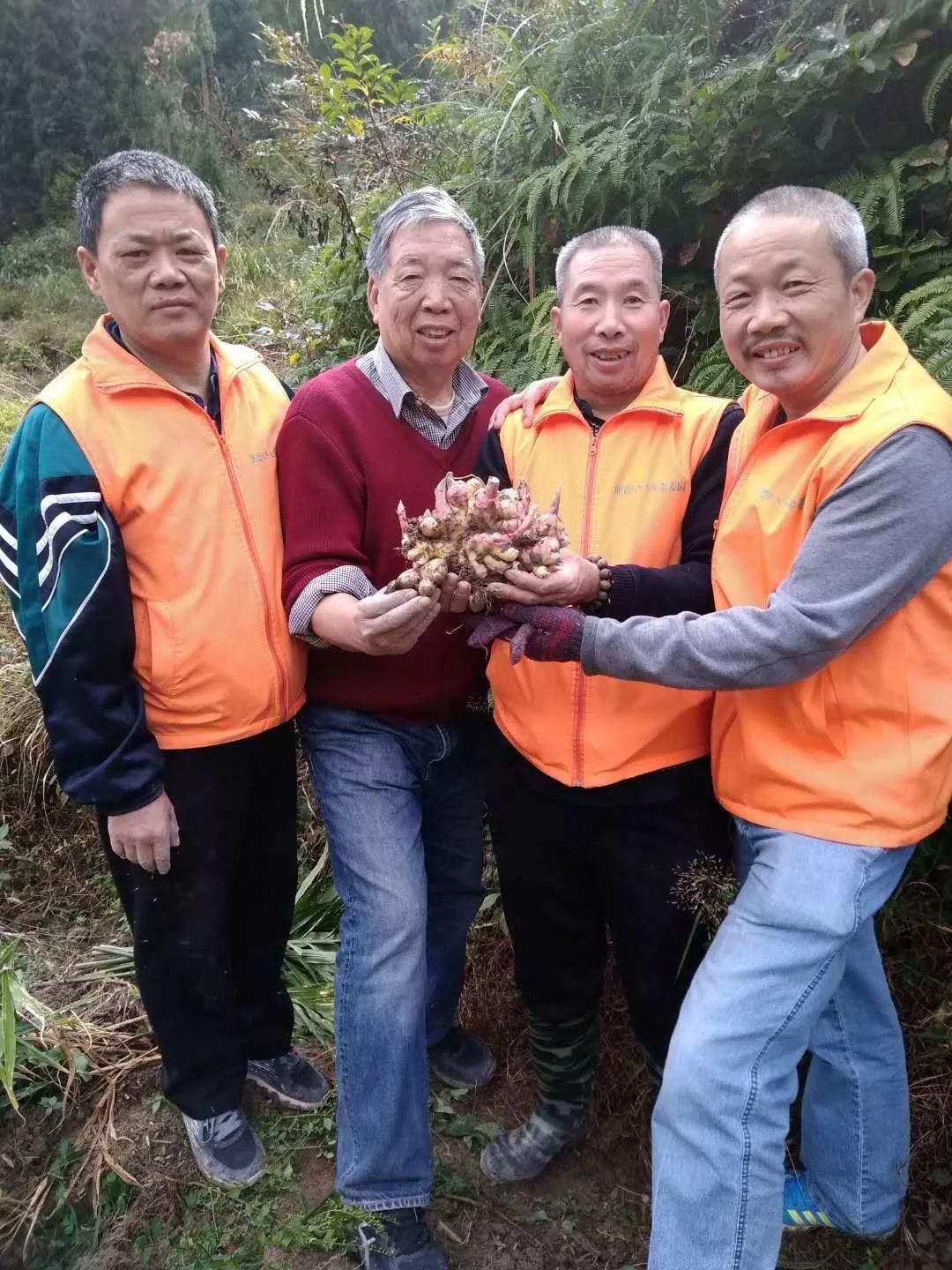 2018年心法农业 福田心耕之明德CSA生态姜园七不小黄薑春耕喜乐开锄感恩节 邀请函 2018年心法农业 福田心耕之明德CSA生态姜园七不小黄薑春耕喜乐开锄感恩节 邀请函